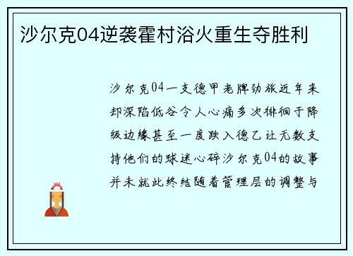 沙尔克04逆袭霍村浴火重生夺胜利