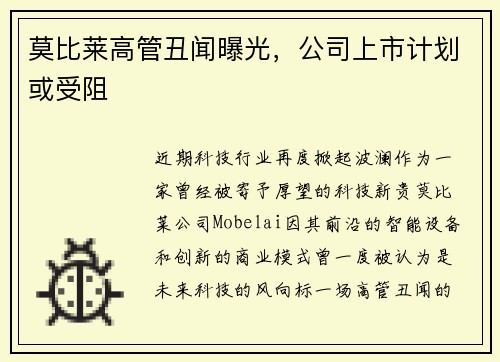 莫比莱高管丑闻曝光，公司上市计划或受阻